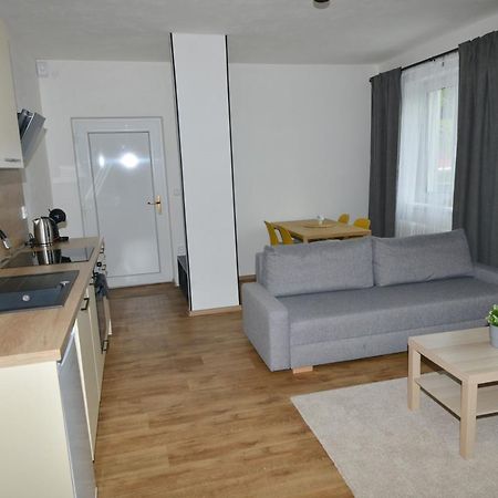 Apartmany U Peslu Železná Ruda المظهر الخارجي الصورة