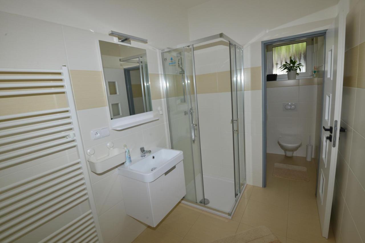 Apartmany U Peslu Železná Ruda المظهر الخارجي الصورة